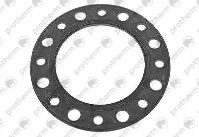 0020259247 Прокладка, 18.3x3.6 (10 шт.) Protherm,