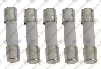 0020261476 Предохранитель (5 шт.) Protherm,