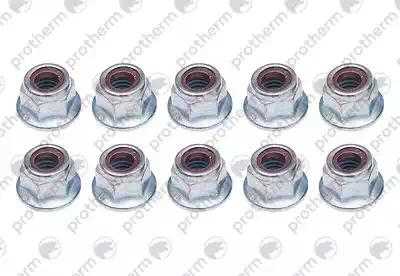 0020018427 Nut (PK10),  Protherm
