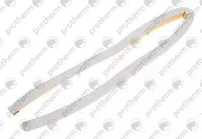 0020034752 Гидроблок IWC-DIN Protherm,
