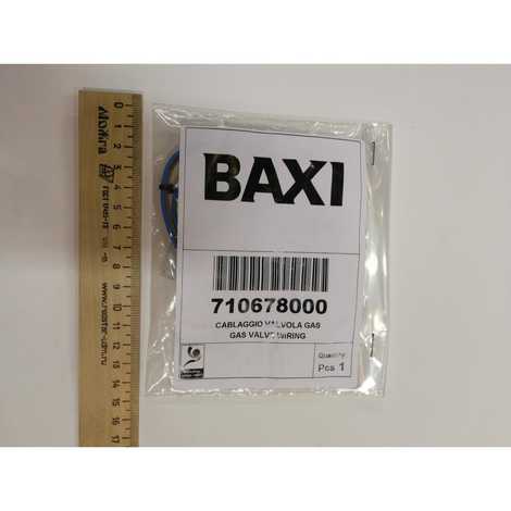 710678000 Проводка электрическая высоковольтная газ. клапана (разъем х1),  Baxi