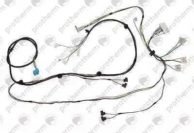 0020095662 Жгут проводов Protherm,