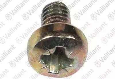 118938 Винт с плоской головкой ISO 7045,  Vaillant