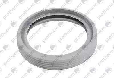 0020195524 Воздуховод Protherm,