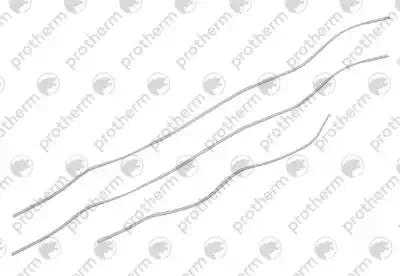 0020200569 Заглушка Protherm,