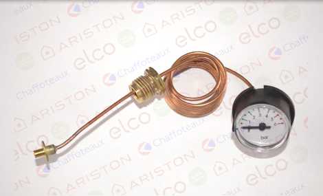 60002216 МАНОМЕТР 6 БАРА L:1000,  Ariston