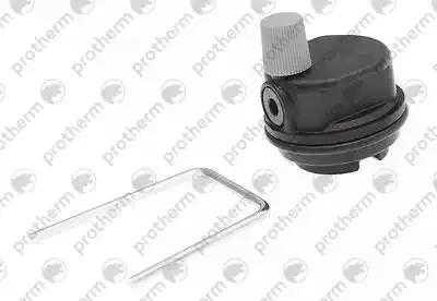 S1024500 Воздухоотводчик (старый 0020018569) Protherm,
