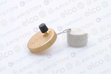 998643 Воздухоотводчик,  Ariston