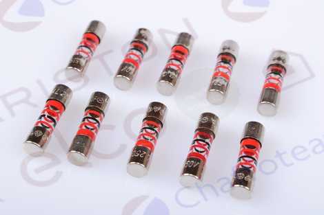 60054442 ПРЕДОХРАНИТЕЛЬ 250V 2A,  Ariston