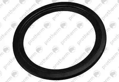 0020026459 Зажим Protherm,