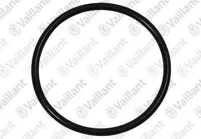 0020123968 Уплотнительное кольцо,  Vaillant