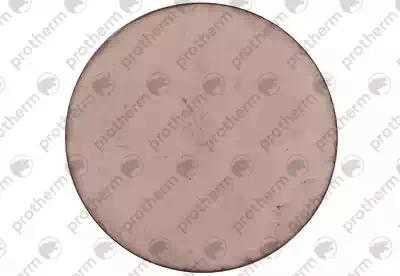 0020027530 Стекло Protherm,