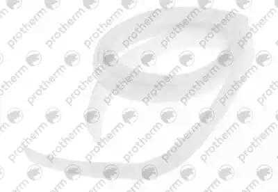 0020033481 Уплотнительный шнур 15*2 Protherm,