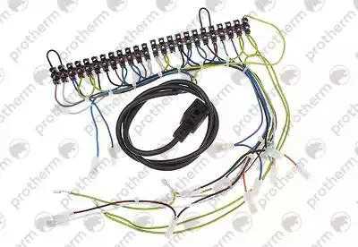 0020034943 Жгут проводов PLO15 Protherm,
