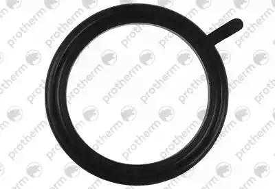 0020034954 Прокладка фланца Protherm,