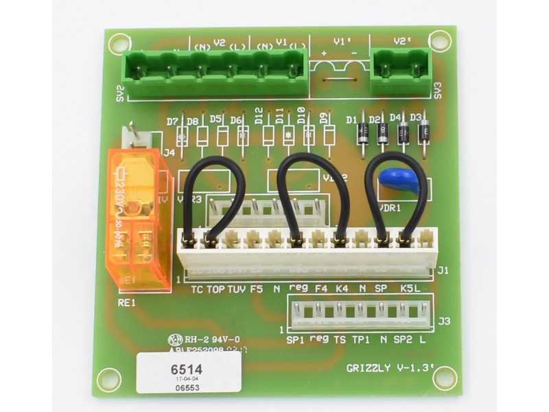 0020035009 Плата управления GRYZZLY Protherm,