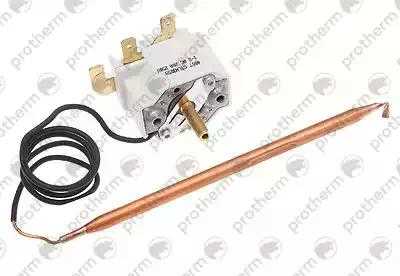 0020035579 Термостат бойлера B100, B200 Protherm,