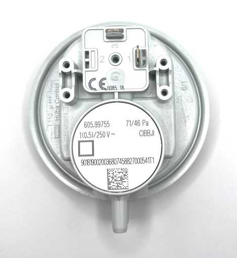 0020039198 Реле давления (старый 0020097998) Protherm,