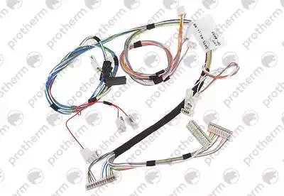 0020044909 Жгут проводов 24BOV17 Protherm,