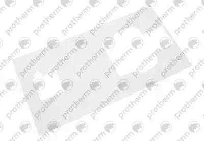 0020053448 Панель облицовки (задняя) Protherm,