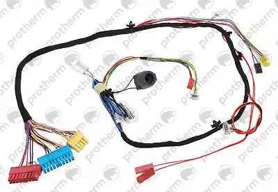 0020097960 Жгут проводов P2NC-25-C Protherm,