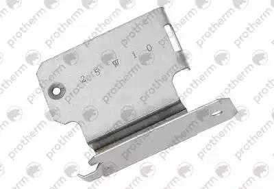 0020097983 Кронштейн Protherm,