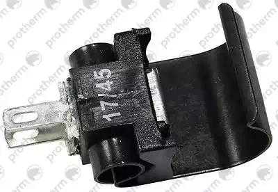 0020099295 Датчик NTC Леопард 24 МТМ,  Protherm