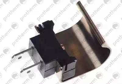 0020014160 Датчик Protherm,